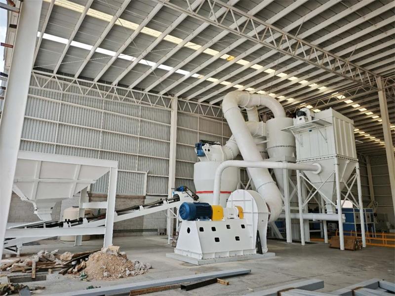 El molino de alta presión MOLIDORA modelo MTW175 se completó la instalación en México