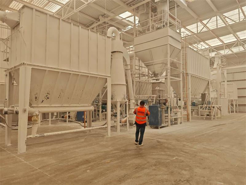 Equipo de servicio postventa de MOLIDORA visita al cliente en México para el molino de molienda ultrafina